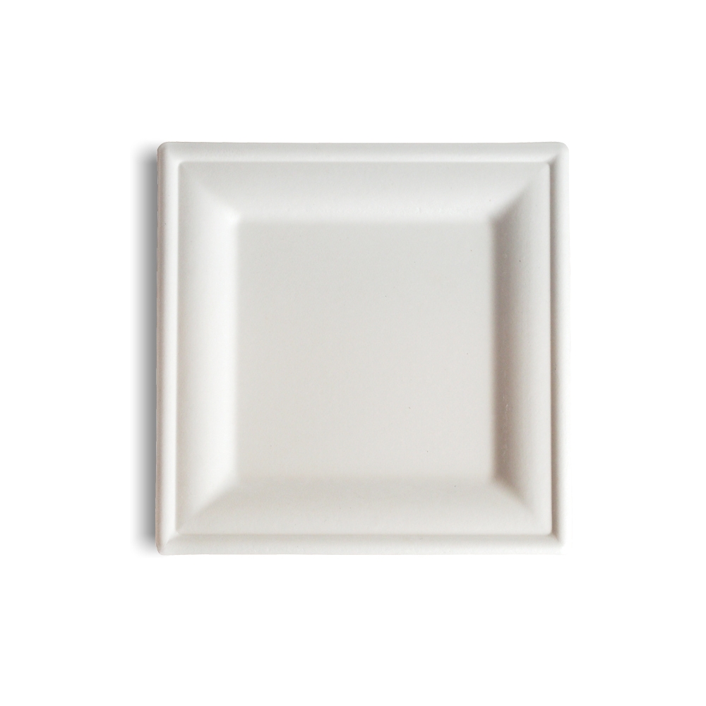 8” Square BioCane Plate